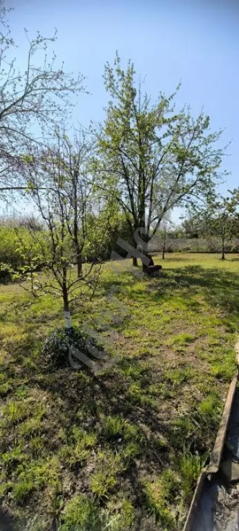 Участок: Сельхозназначения (СНТ, ДНП), 10 сот. (Продажа)