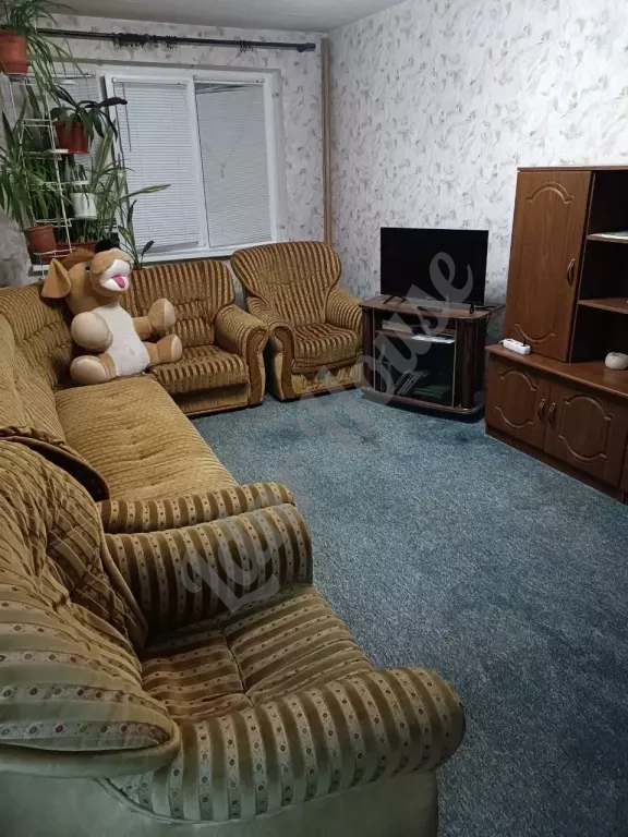 3-комн. Кв. 66 м² | Этаж: 3/5